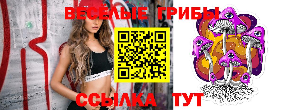 Галлюциногенные грибы Psilocybine cubensis  Вход с VPN  купить  цена  Троицк 
