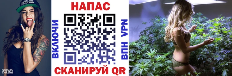 дарк нет телеграм  Троицк  Конопля сатива 